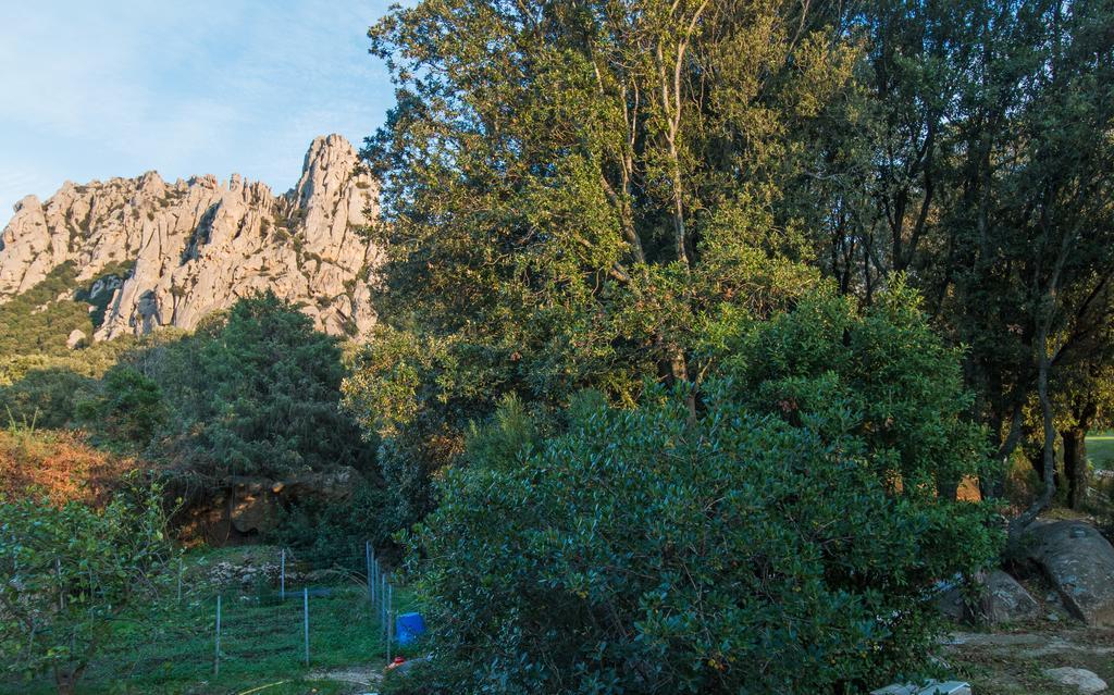 Casa Vacanze San Pantaleo Villa Eksteriør billede